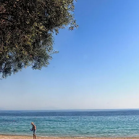 Ionia Living Μπαρμπάτι